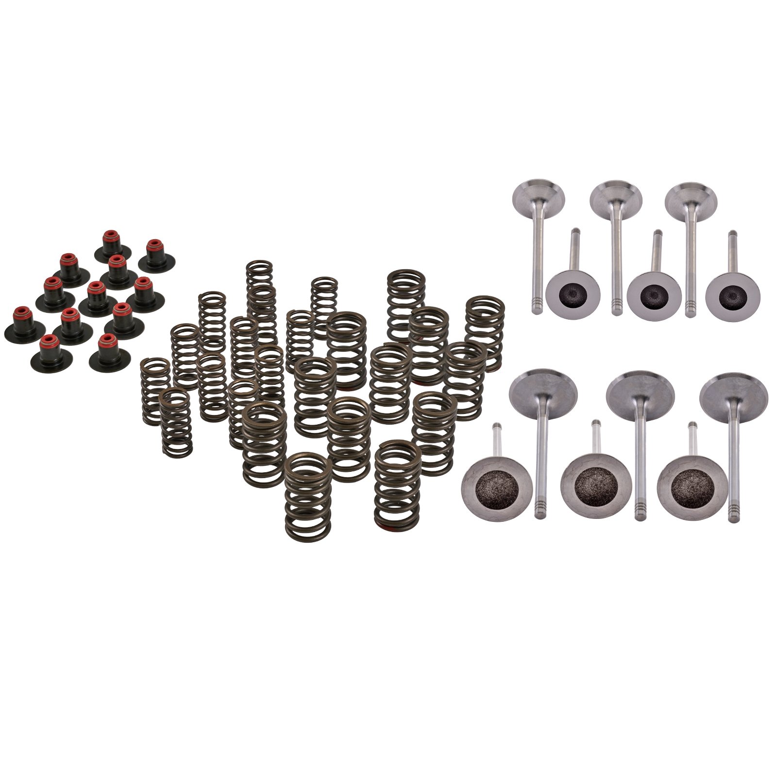 SBT Cylinder Head Rebuild Kit Fits Sea-Doo 4-Strokes Exc. Spark
