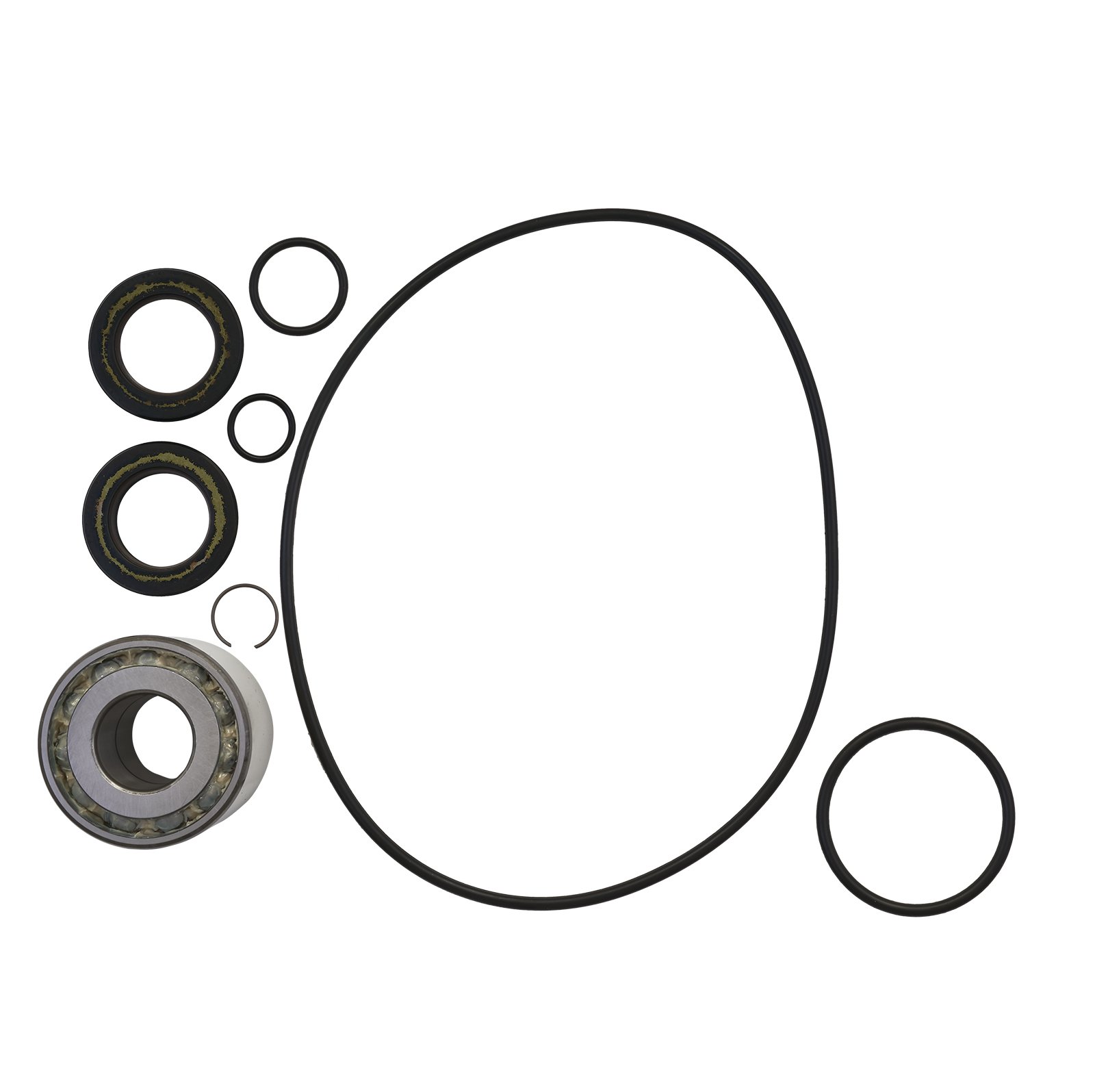 SBT Jet Pump Rebuild Kit for Honda F-12 2006