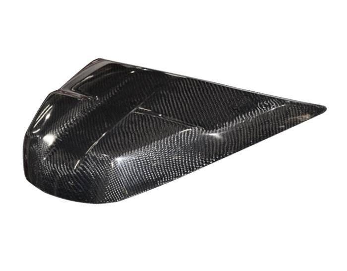 Carbon Rear Seat Fzr Wammer 5 Carbon Rear Seat FZR Wammer - Image 3