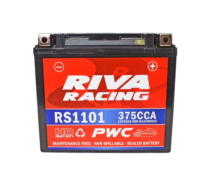 rs1101 c 1 1
