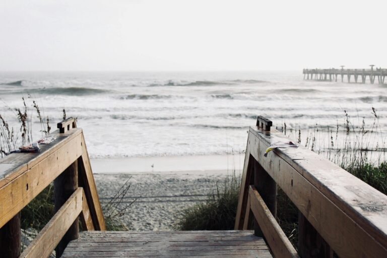 Read more about the article Exploring the Best of Jacksonville, Florida: A Vacationer’s Guide